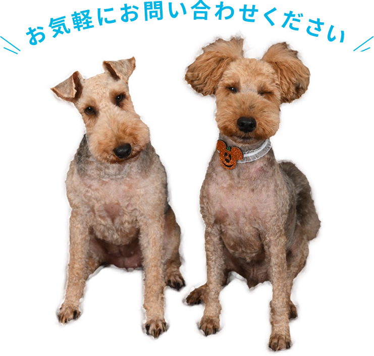 お気軽にお問い合わせください